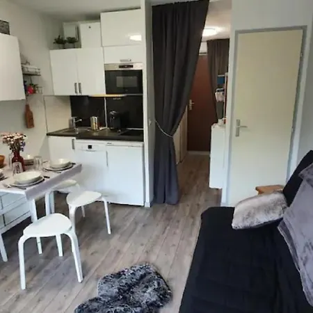 2 Alpes, Pied De Piste, Ménage Inclus, Balcon, Parking * Les Deux Alpes