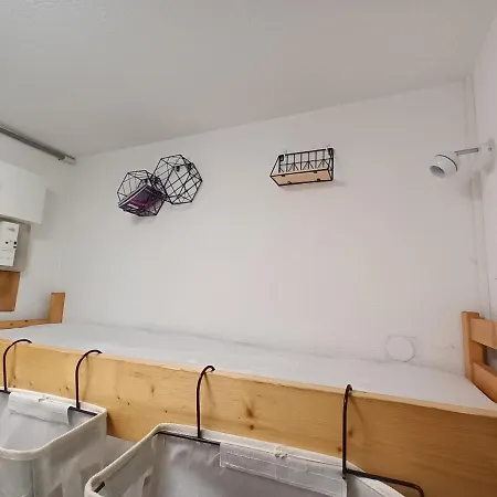 2 Alpes Pied Piste Petite Aiguille, Menage Inclus, Balcon, Parking