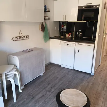 2 Alpes, Pied De Piste, Menage Inclus, Balcon, Parking * 莱德萨阿尔卑斯