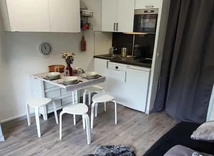 2 Alpes, Pied De Piste, Menage Inclus, Balcon, Parking レ・デュー・アルプ