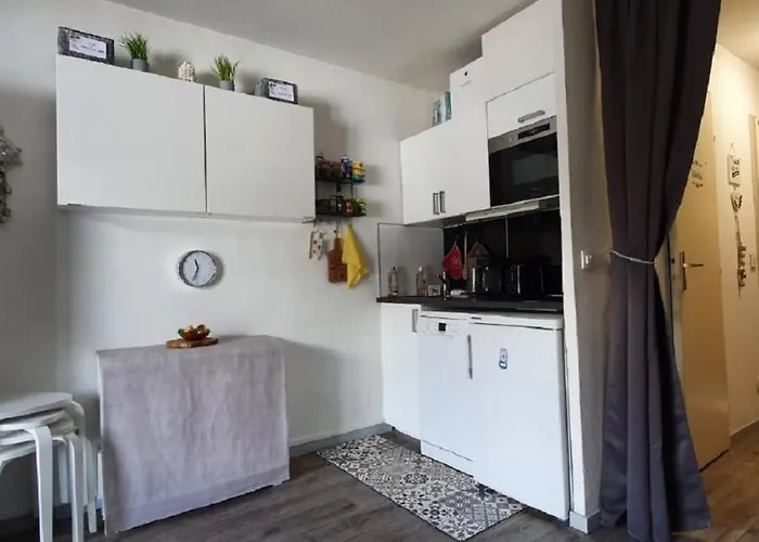 Apartament 2 Alpes, Pied De Piste, Menage Inclus, Balcon, Parking