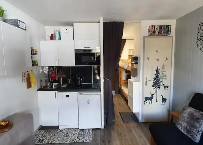 2 Alpes, Pied De Piste, Menage Inclus, Balcon, Parking Apartament Les Deux Alpes