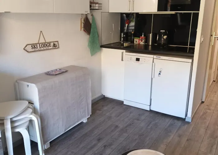 2 Alpes, Pied De Piste, Menage Inclus, Balcon, Parking * Les Deux Alpes